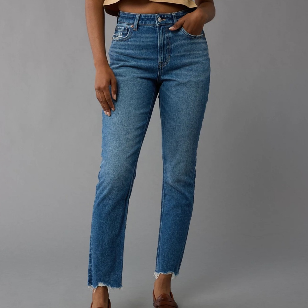 AE Strigid Mom jean 8-X Long